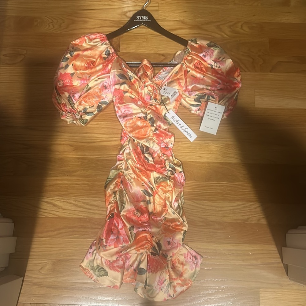 For love & lemons dress
